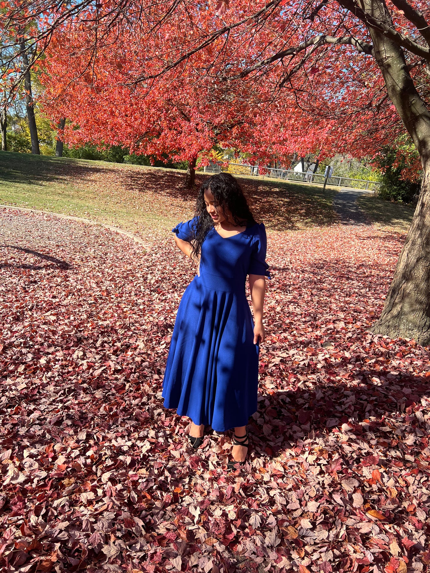 Royal Blue Dress