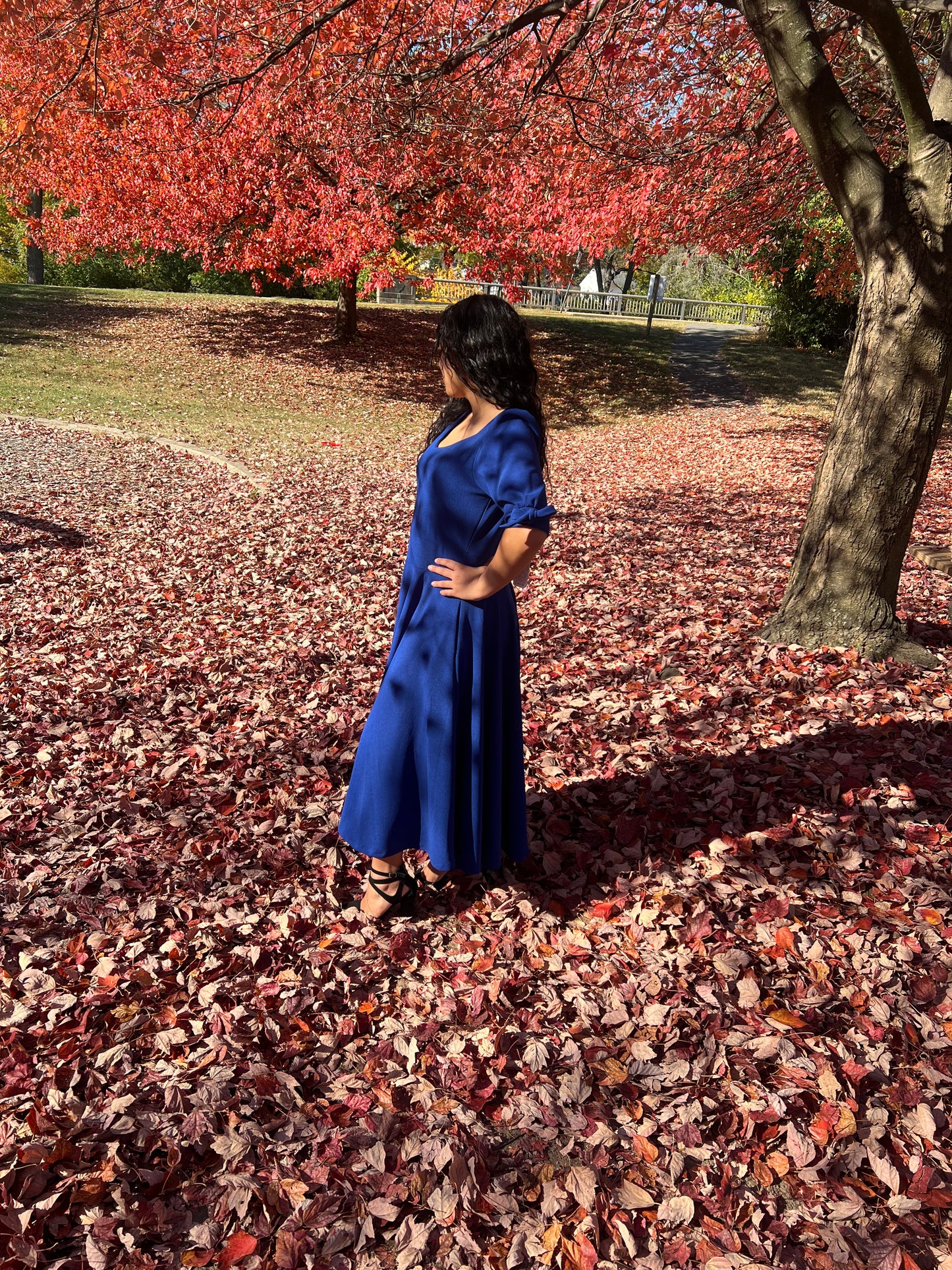 Royal Blue Dress