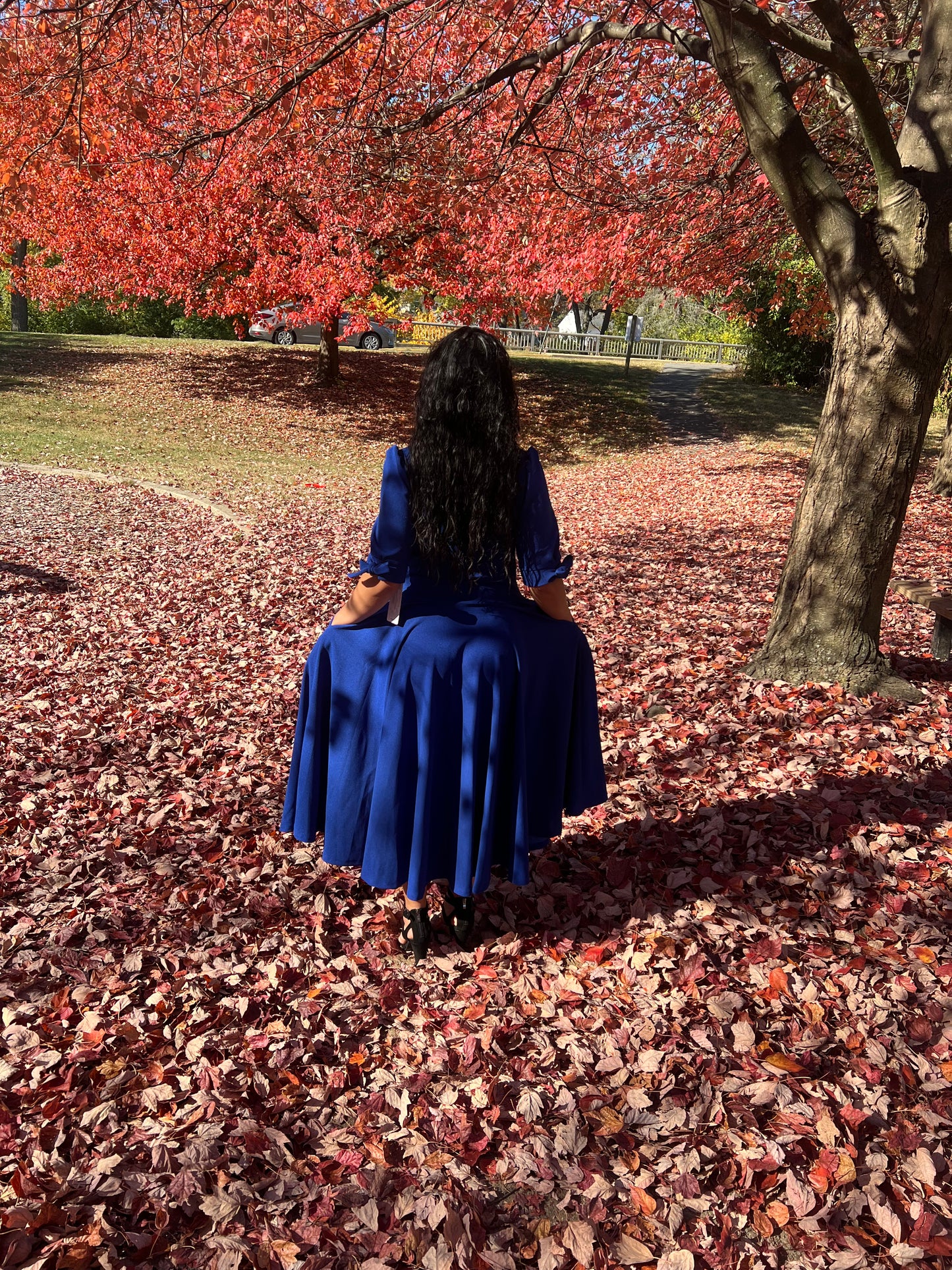 Royal Blue Dress