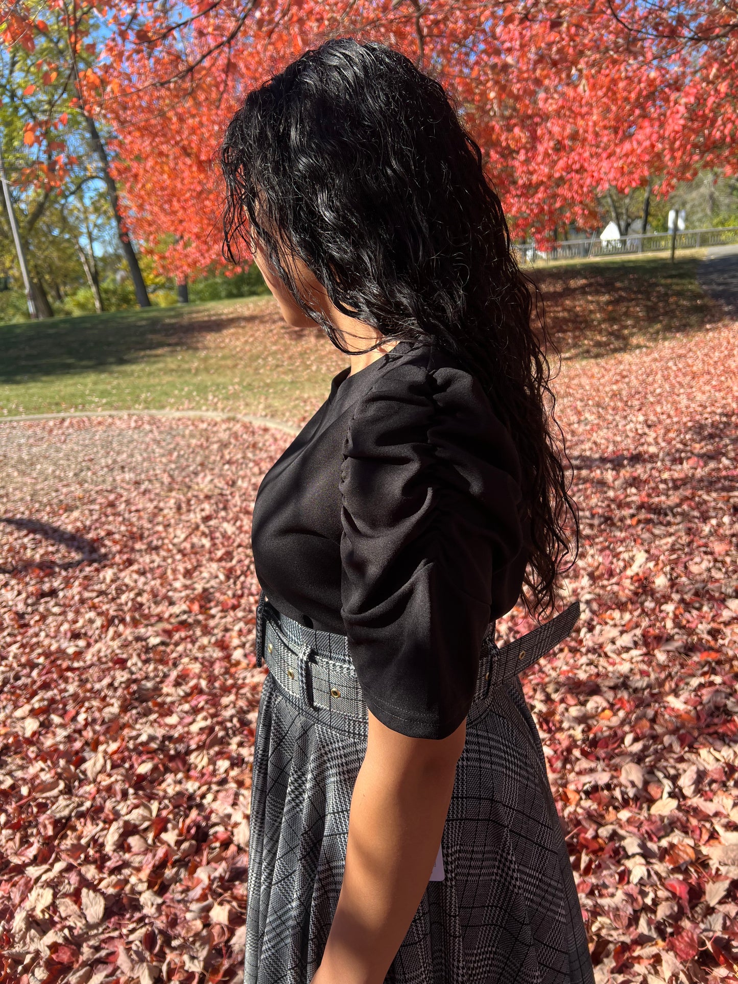 Blusa Manga Princesa